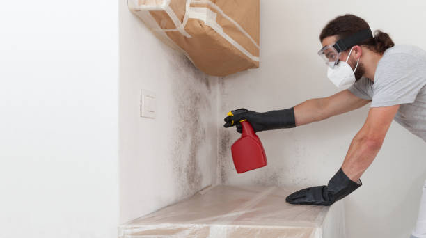 Professional Attic Mold Remediation technician working in Coats, NC
