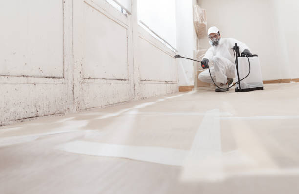 24/7 Emergency Attic Mold Remediation experts in Coats, NC