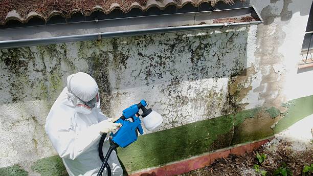 Top rated local Attic Mold Remediation specialists in Coats, NC